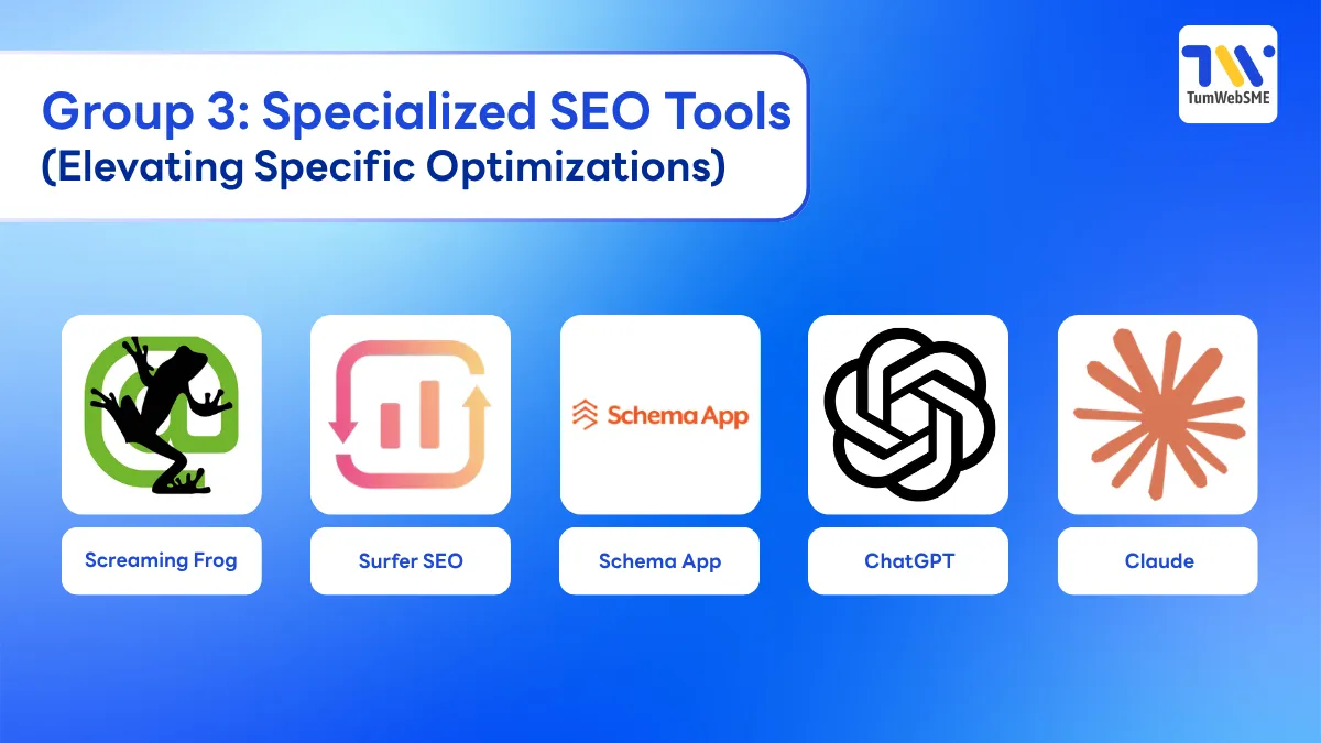 Group 3: Specialized SEO Tools (Elevating Specific Optimizations)